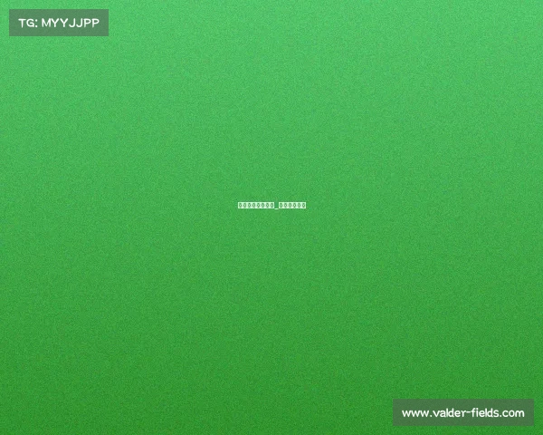 电子竞技经典形象_电子竞技名人